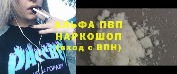 индика Абинск