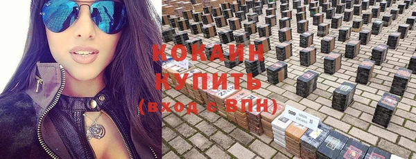 индика Абинск