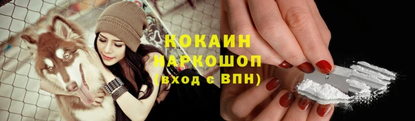 гидропоника Абаза