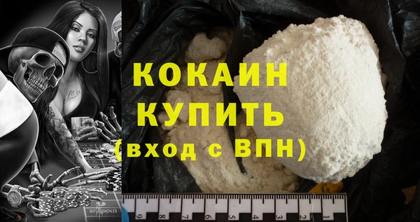 индика Абинск