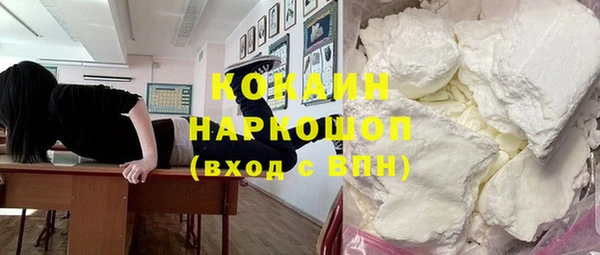 индика Абинск
