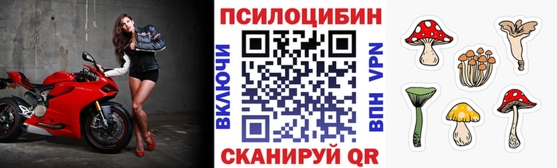 Псилоцибиновые грибы Psilocybine cubensis  Александровск-Сахалинский 